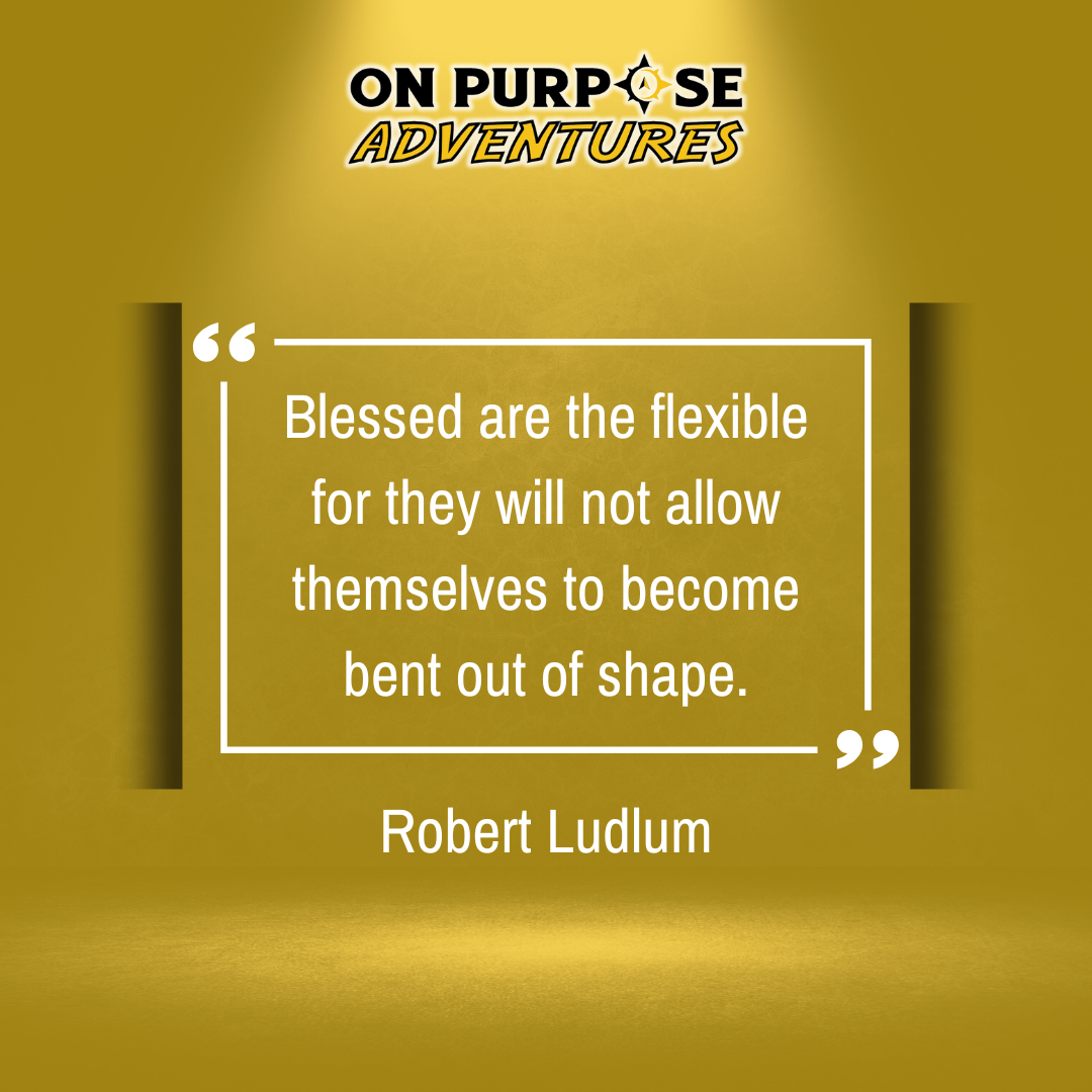 Blessed are the flexible quote from Robert Ludlum