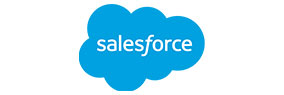 salesforce Dynamic Change as a Strategy for Success