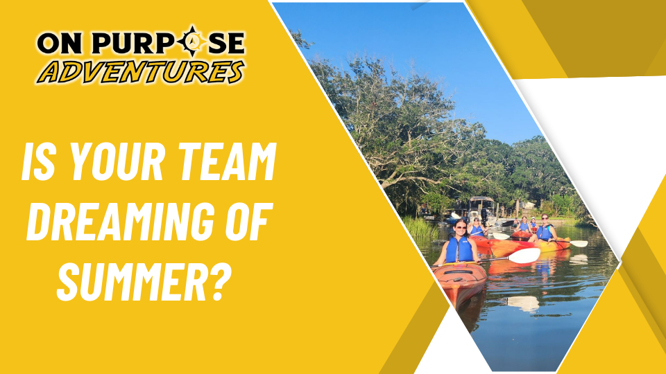 why-your-summer-team-building-needs-an-upgrade%201 6 Reasons Team Building is Important