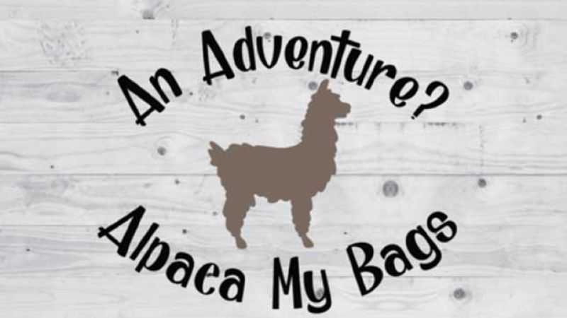 alpaea-my-bags-1af8f856 image alpaea-my-bags-1af8f856 On Purpose Adventures Blog - Results from #96