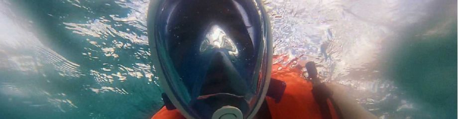 tribord-easy-breath-mask-99dc0b7a Tribord Easybreath Snorkeling Mask