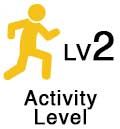 OPA_Icon_Activity-Level-2-1a9379af Code Breakers | On Purpose Adventures