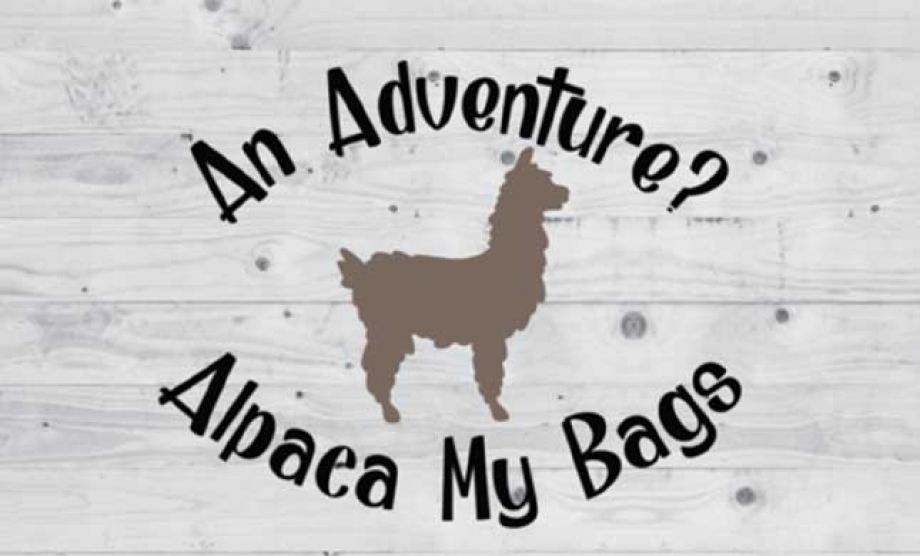 alpaea-my-bags-38c78d0c On Purpose Adventures Blog