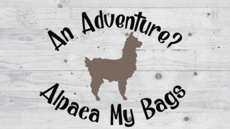 alpaea-my-bags-ef73fae5 On Purpose Adventures Blog - Results from #24