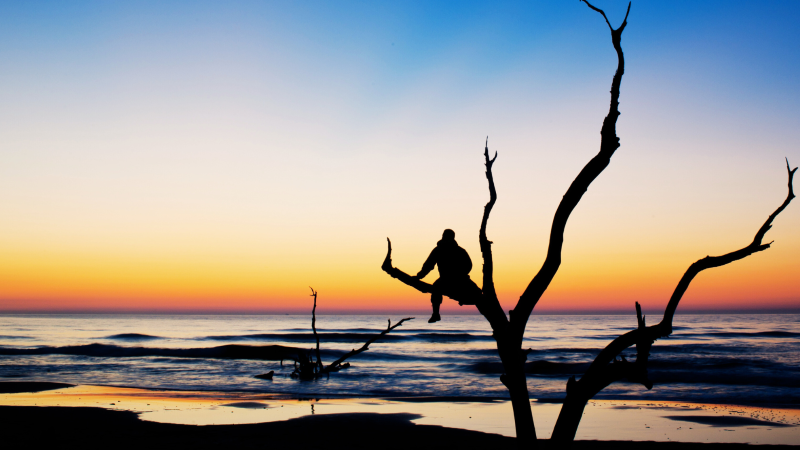 Reflect_On_Purpose-resize-f8a8182b Newsletters